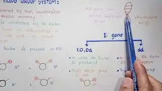 Detail Lecture On Rh And ABO Blood Group System | Erythroblastosis Foetalis