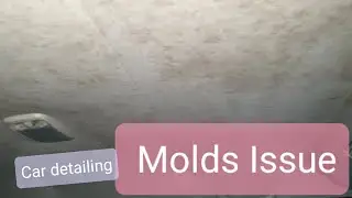 Car mold removal at its interior and tips to prevent molds