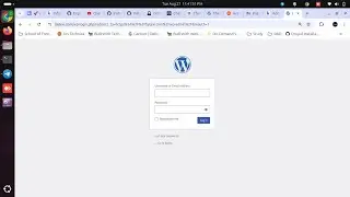LEMP Stack & WordPress Installation Support on Ubuntu