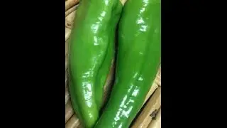Chili Pepper Punishment; Impossible Quiz