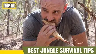 Top 10 Best Jungle Survival Tips