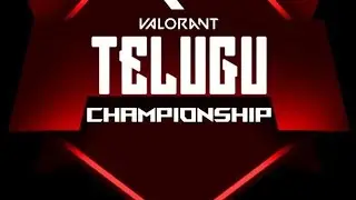 Valorant Telugu Championship | Punk Nation POV | Team RG | @TorchBearerzzEsports @reusgaming5270