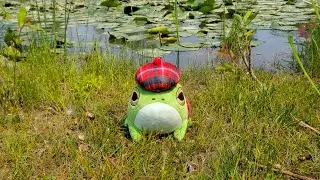 FROGGE REAL