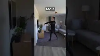 How animals would stub their toe if they were people.