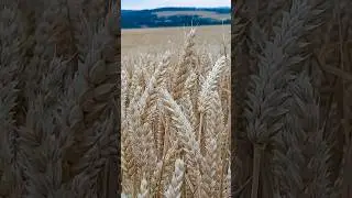 красота природы изумляет 