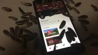 McHorse intro #2
