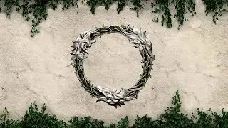 The Elder Scrolls Online (TESO) № 1 - Сейда Нин