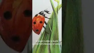 Which Paper for Coloured Pencils - Part 2... Art Tips #colorpencil #drawing #arttips #arttutorials