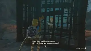 Encuentro con Zelda Falsa en Tears of the Kingdom