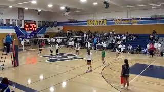 P wax Live Stream