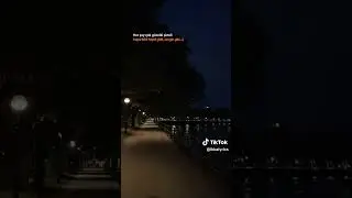 sevgin gibi