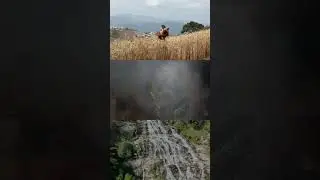 Чиангмай