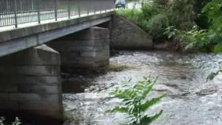 Das liebliche Elstertal mit der Elstertalbrücke im Vogtland