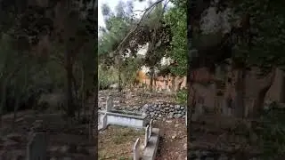 Кладбище пиратов в Алании #турция