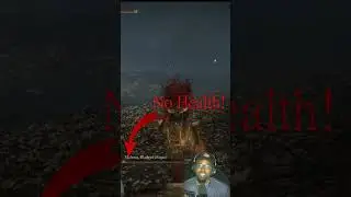 Elden Ring: She Had No Health! (Malenia Fight)
