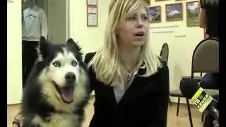 Ржака