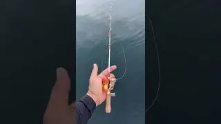 Tiny Fishing Rod Challenge 