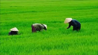 Terbaru 2018 | Spa Relaksasi | Kecapi Suling Merdu | Video HD