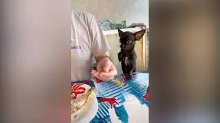 Один кусочек. Дай.