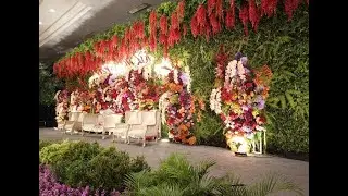 VIRAL !!!  WEDDING INDOOR TERASA OUTDOOR