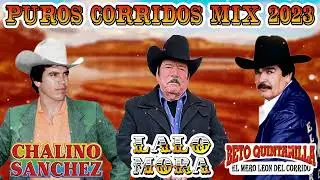 Las 30 Sus Mejores Éxitos Canciones de Beto Quintanilla - Chalino SAnchez vs Lalo Mora