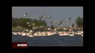 HobbyCeiuri in Delta Dunarii, cu Mihai Moiceanu si Iliuta Goean