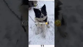 Үйдің кілтін тығатын жер Кілт Лайкада🤣