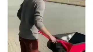 TAXE TACHKA ZAPALCHA