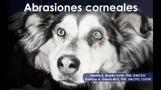 Tema 5 Abrasiones corneales Traducción Español