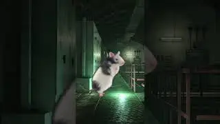 Reserve Rats In Tarkov - Escape From Tarkov Clips #shorts