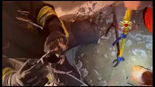 I vigili del fuoco salvano quattro gattini finiti in un tub