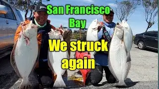 Halibut fishing in San Francisco Bay:  We struck again with huge butt.