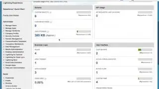 System Overview Page Salesforce