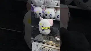 Rare Claw Machine Shows You HOW TO WIN! 