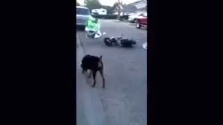 BEST WIPE OUT EVER GRANDE PRAIRIE AB