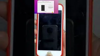 How to Jailbreak iPhone with Checkra1n on Mac? 1 Minute Only! #shorts