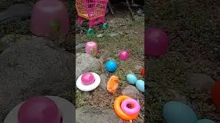 mencari ayam warna warni #cute #ayamwarnawarni #unik #animalcute #animalsvideo
