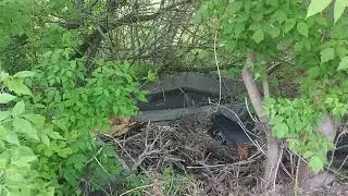 Симбирка