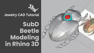 Crafting Beetles with Flawless SubD Surfaces: A Rhino 3D Modeling Tutorial 
