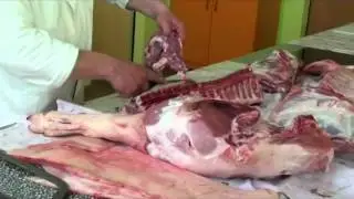 ŘŽ   proces oddělování vepřového masa trup