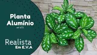 675 - Planta Alumínio | Prof Jociara Santos