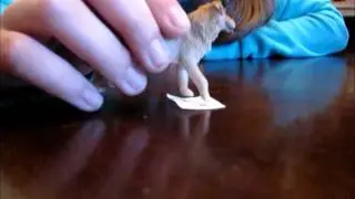 Puppy angels 6