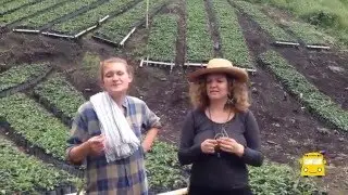 ON BOARD Testimonials Part 1 (Colombia 2015)