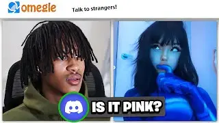Omegle But My DISCORD Tells Me What To Say...