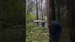Открыть себе дороги