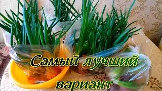 ЛУК на Зелень растет как на дрожжах, без грязи и пыли, прет, как танк. Мало совсем места занимает.
