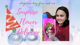 Vlogmas 5 and 6: Special Delivery!!! #vlogmas