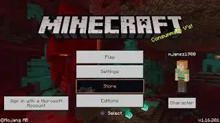 Minecraft ayrton 3