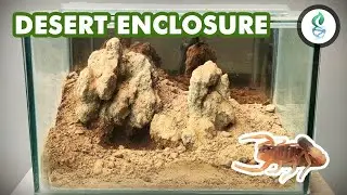 DESERT ENCLOSURE BUILD for Parabuthus maximus (Scorpion)