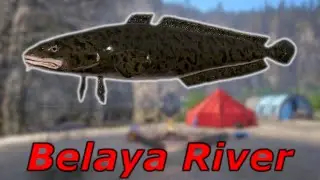 Russian Fishing 4 Belaya River Burbot RF4 SPOT #49